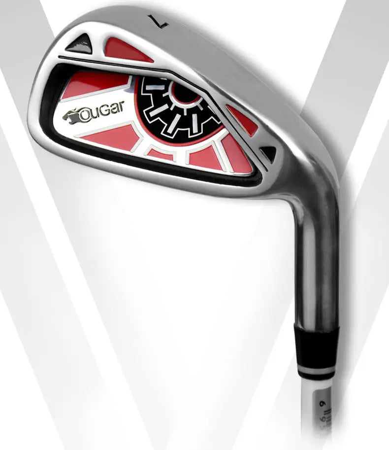 Golf Beginner Full Set of Clubs with Stand Bag for Men