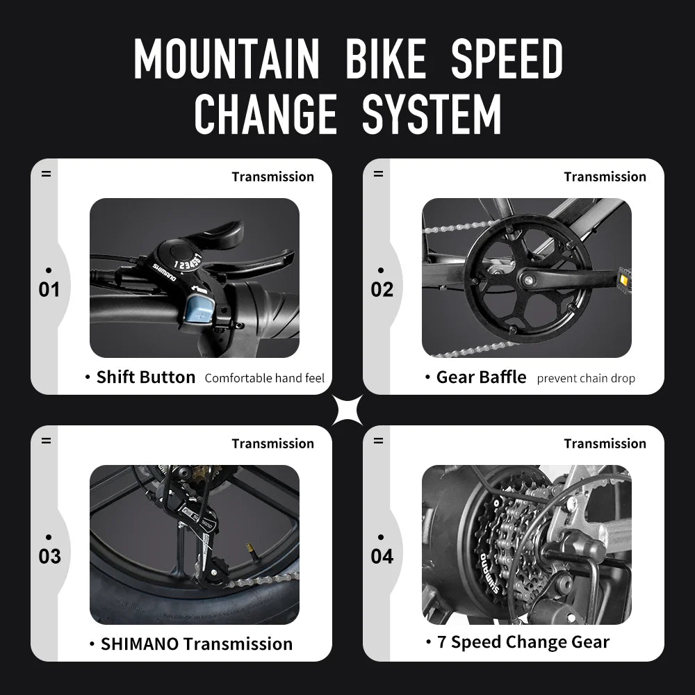 DEEPOWER QS7 1000W 48V Fat Tire Electric Bike For Adults